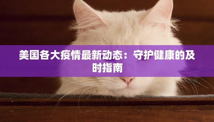 美国各大疫情最新动态：守护健康的及时指南