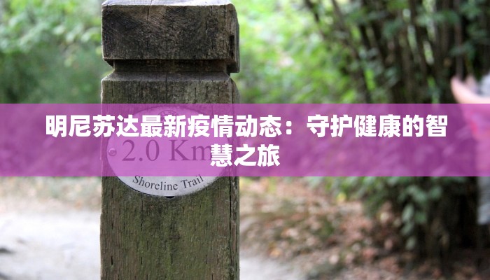 明尼苏达最新疫情动态：守护健康的智慧之旅