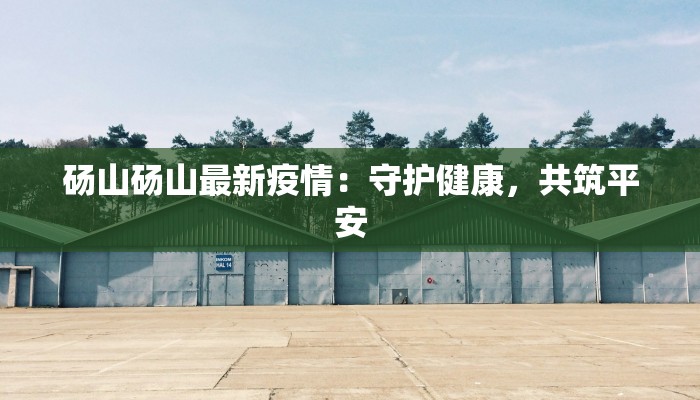 砀山砀山最新疫情：守护健康，共筑平安