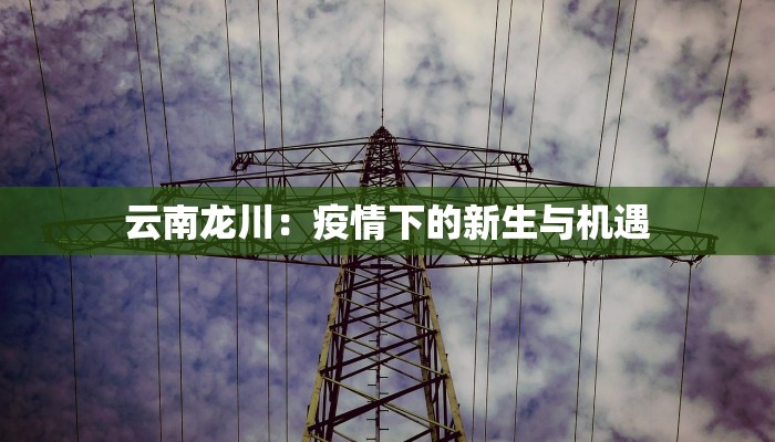 云南龙川：疫情下的新生与机遇