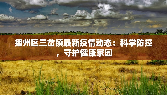 播州区三岔镇最新疫情动态：科学防控，守护健康家园