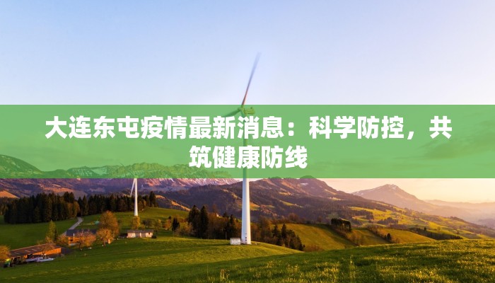 大连东屯疫情最新消息：科学防控，共筑健康防线