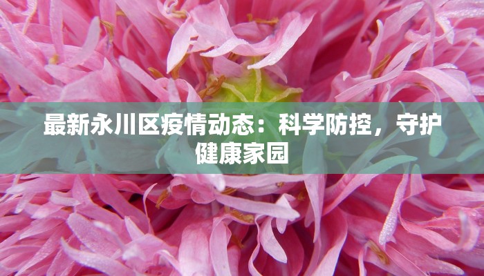 最新永川区疫情动态：科学防控，守护健康家园