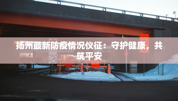 扬州最新防疫情况仪征：守护健康，共筑平安