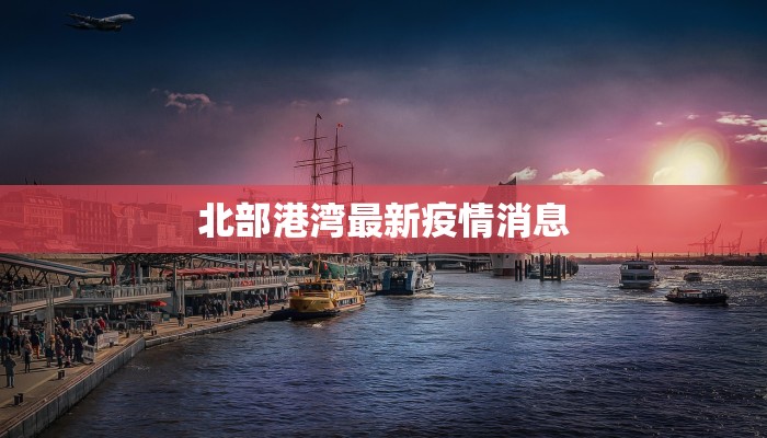 北部港湾最新疫情消息