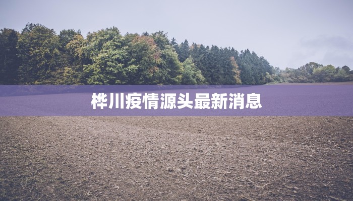 桦川疫情源头最新消息