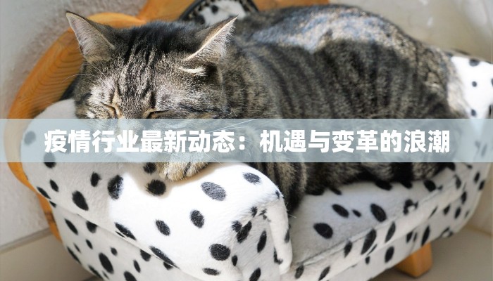 疫情行业最新动态：机遇与变革的浪潮