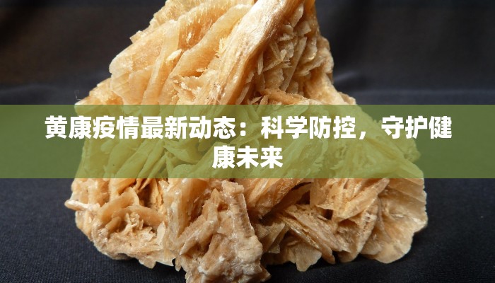 黄康疫情最新动态：科学防控，守护健康未来