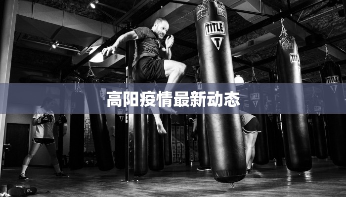 高阳疫情最新动态