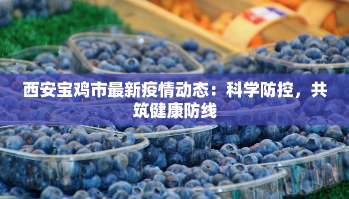 西安宝鸡市最新疫情动态：科学防控，共筑健康防线
