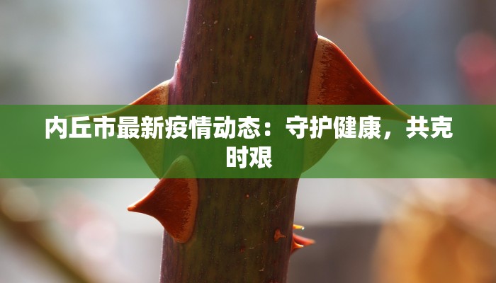 内丘市最新疫情动态：守护健康，共克时艰