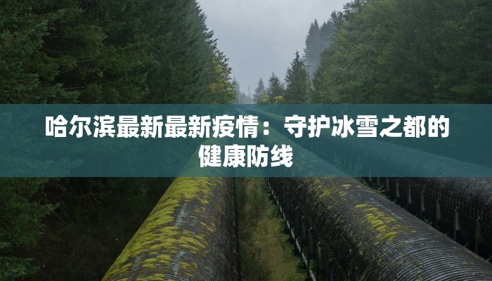 哈尔滨最新最新疫情：守护冰雪之都的健康防线