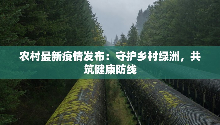 农村最新疫情发布：守护乡村绿洲，共筑健康防线