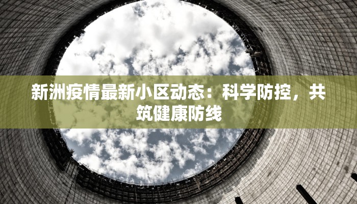 新洲疫情最新小区动态：科学防控，共筑健康防线