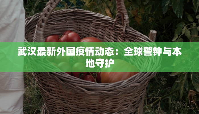 龙泉最新疫情排查：守护健康，携手前行