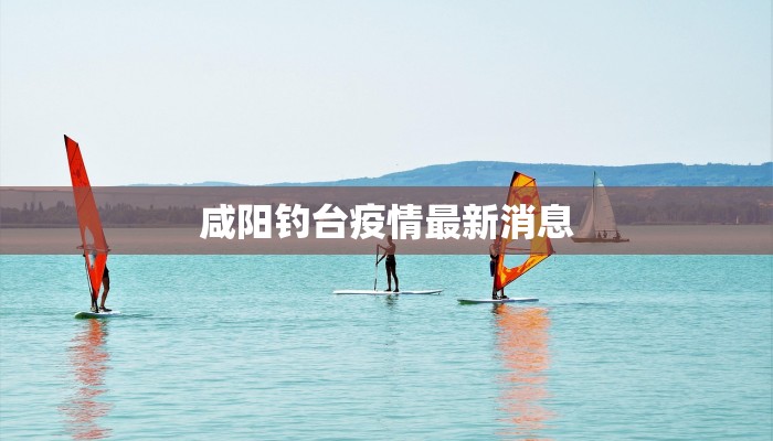 泰和苑疫情最新：守护家园，科学防控，共克时艰