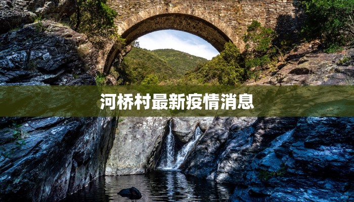 河桥村最新疫情消息