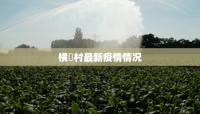 横滘村最新疫情情况