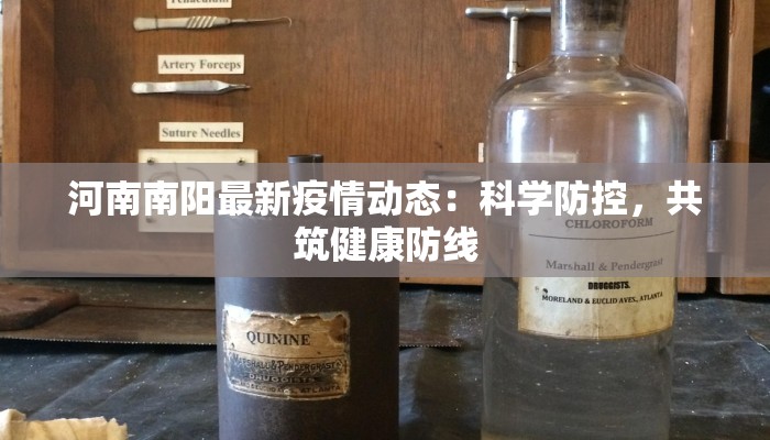 揭阳妇联最新疫情：守护巾帼力量，携手共克时艰