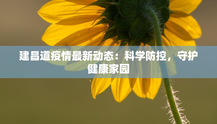 建昌道疫情最新动态：科学防控，守护健康家园