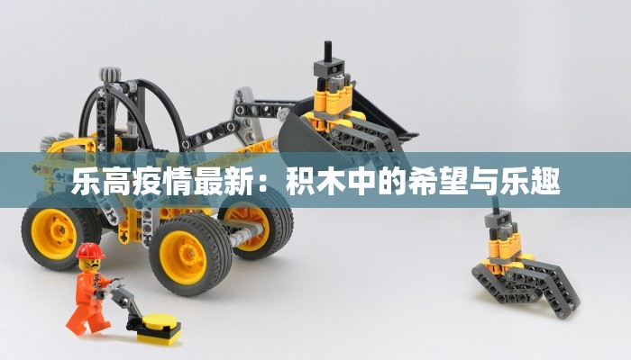 乐高疫情最新：积木中的希望与乐趣
