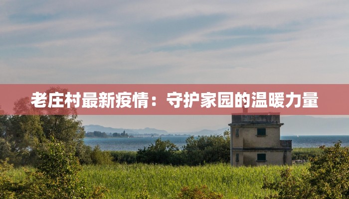 老庄村最新疫情：守护家园的温暖力量
