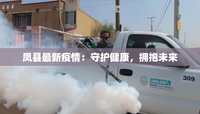 凤县最新疫情：守护健康，拥抱未来