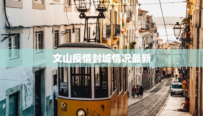 文山疫情封城情况最新
