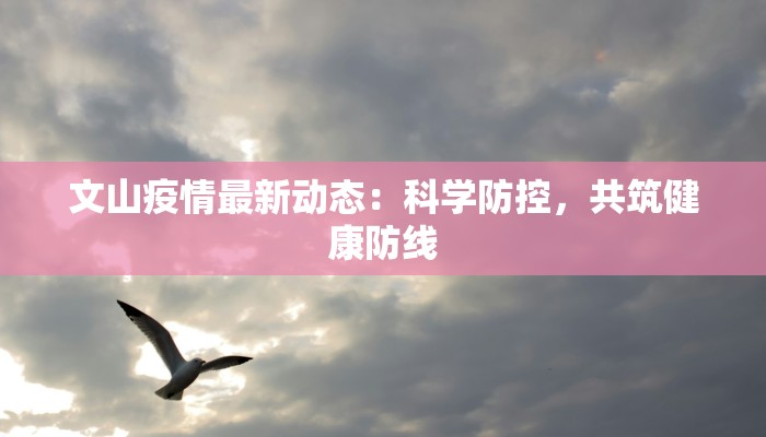 文山疫情最新动态：科学防控，共筑健康防线