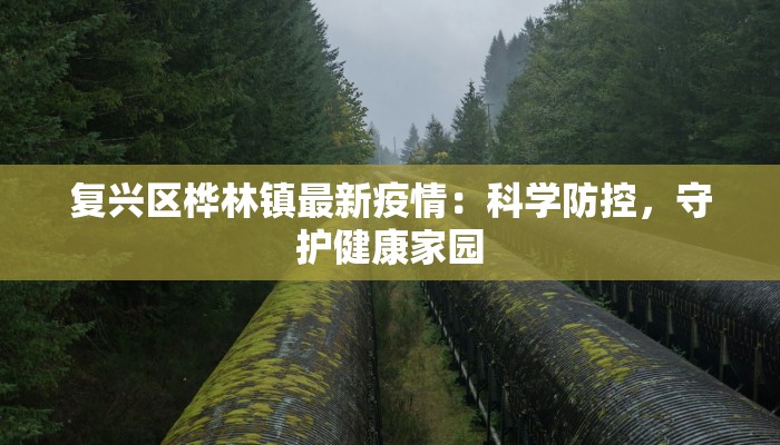 复兴区桦林镇最新疫情：科学防控，守护健康家园