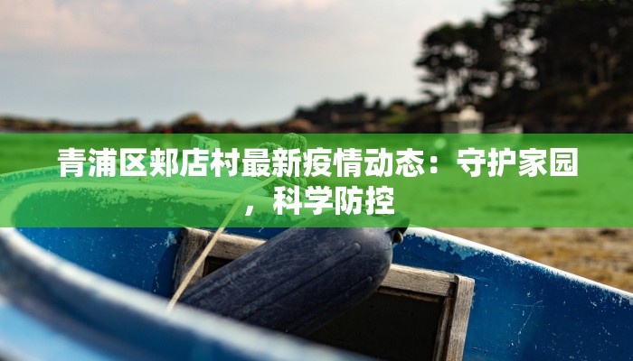 青浦区郏店村最新疫情动态：守护家园，科学防控