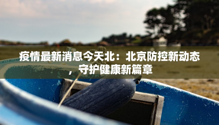 疫情最新消息今天北：北京防控新动态，守护健康新篇章