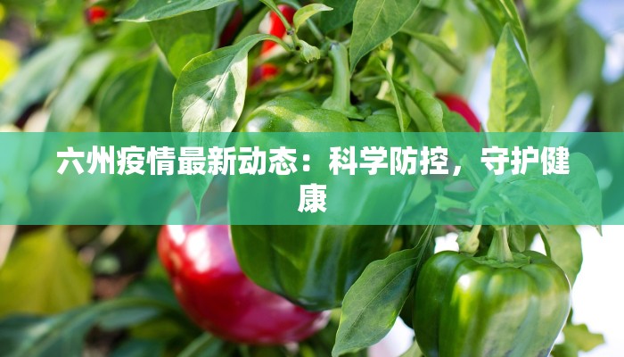 六州疫情最新动态：科学防控，守护健康