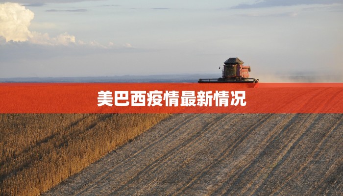 美巴西疫情最新情况