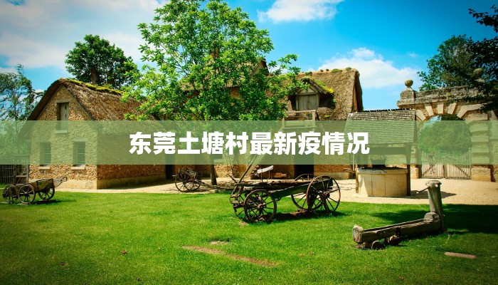 东莞土塘村最新疫情况