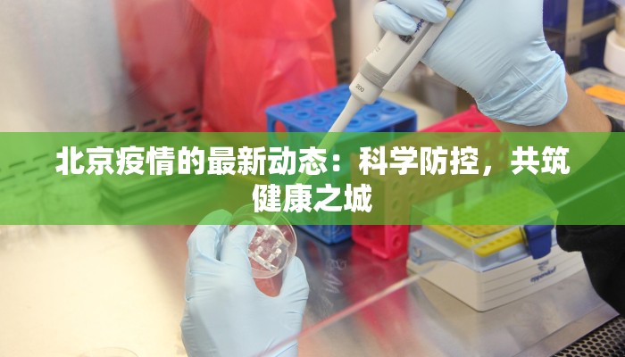 北京疫情的最新动态：科学防控，共筑健康之城