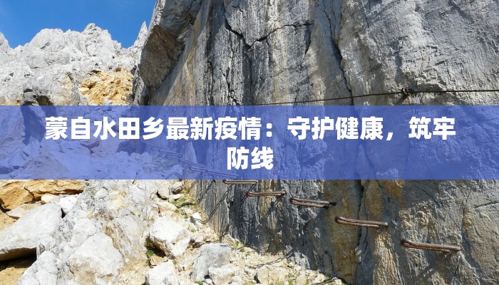 蒙自水田乡最新疫情：守护健康，筑牢防线