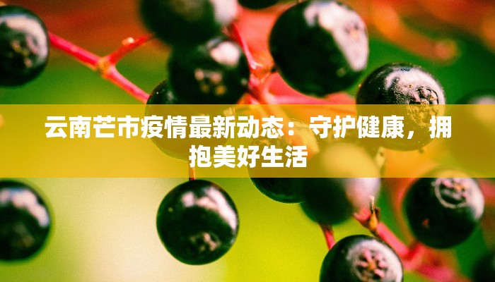 云南芒市疫情最新动态：守护健康，拥抱美好生活