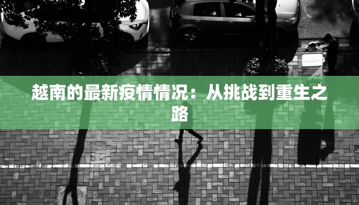 越南的最新疫情情况：从挑战到重生之路