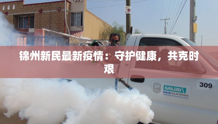 锦州新民最新疫情：守护健康，共克时艰