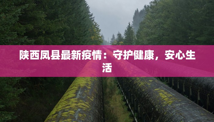 陕西凤县最新疫情：守护健康，安心生活