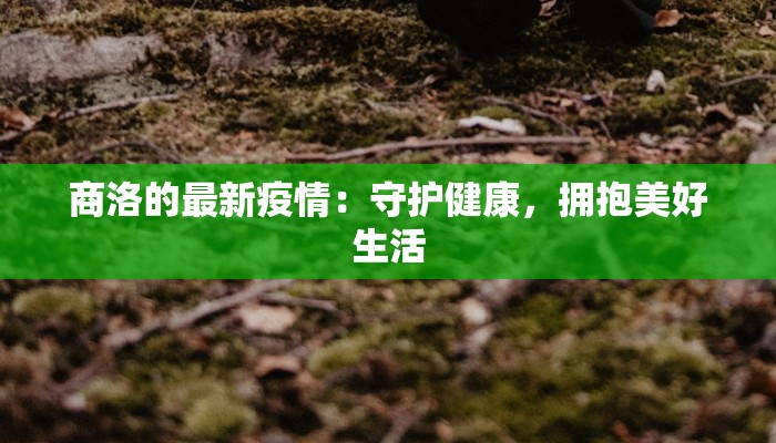 商洛的最新疫情：守护健康，拥抱美好生活
