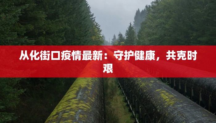 从化街口疫情最新：守护健康，共克时艰