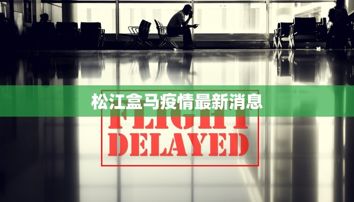 松江盒马疫情最新消息