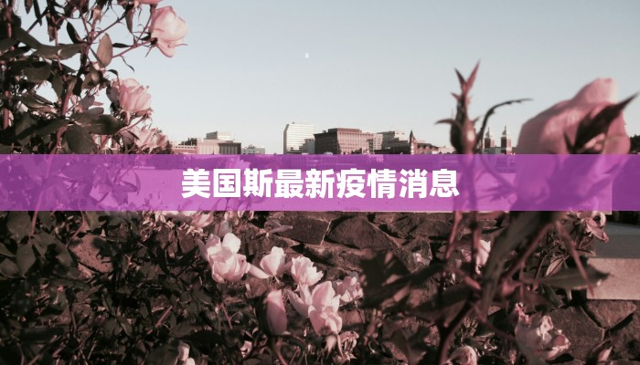 美国斯最新疫情消息