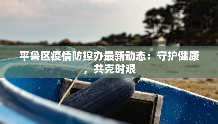 平鲁区疫情防控办最新动态：守护健康，共克时艰