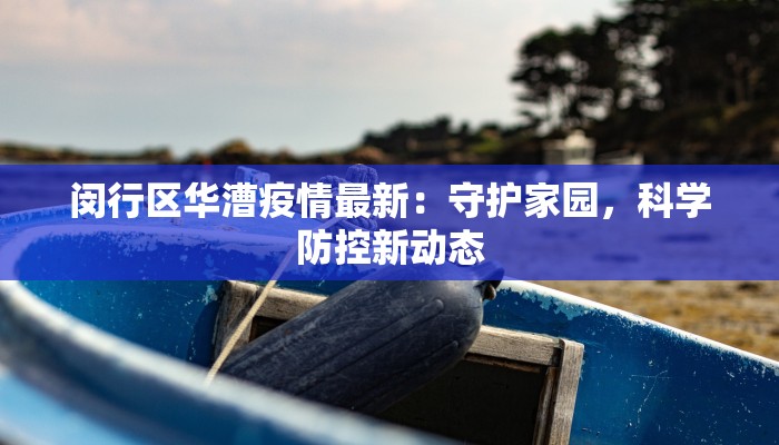 闵行区华漕疫情最新：守护家园，科学防控新动态