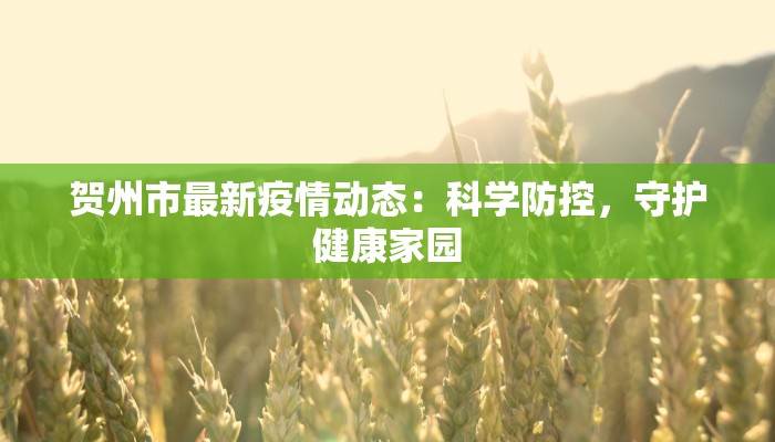 贺州市最新疫情动态：科学防控，守护健康家园