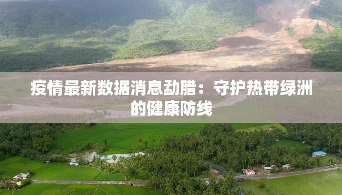 疫情最新数据消息勐腊：守护热带绿洲的健康防线