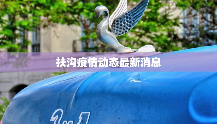 扶沟疫情动态最新消息